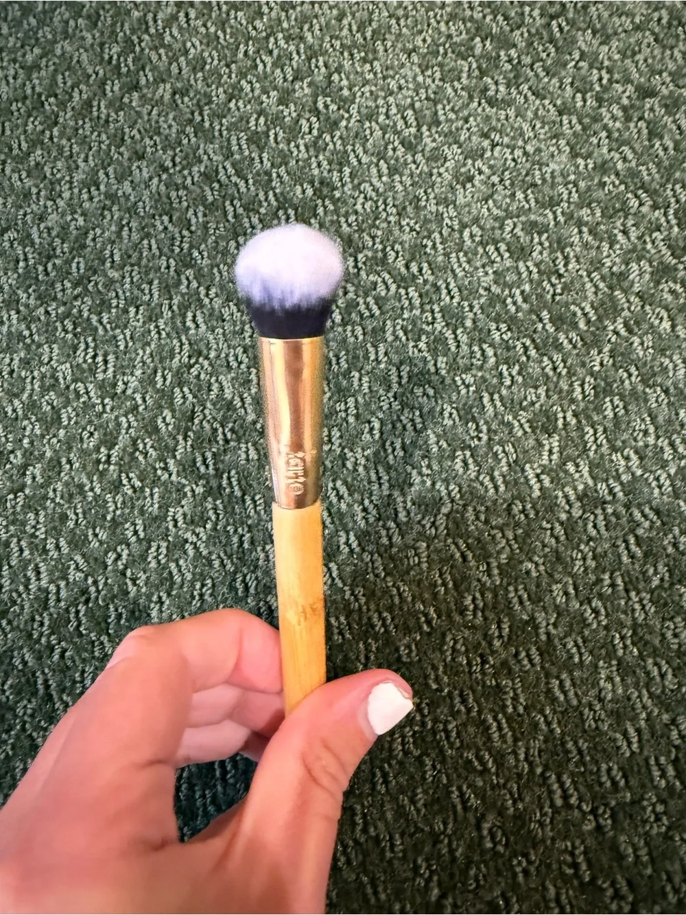 tarte concealer paw brush